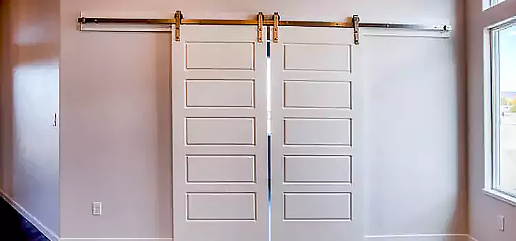 Glass Barn Door with Installation Hardware Kit Garden Grove