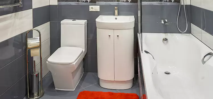 Hansgrohe Shaving Mirror Garden Grove